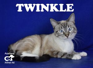 . Twinkle .