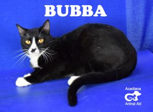 . Bubba .
