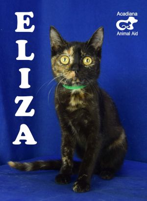 . Eliza .