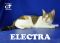. Electra .