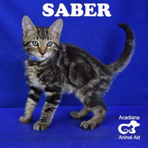 . Saber .