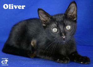 . Oliver .