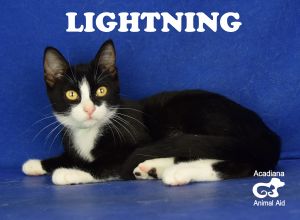. Lightening .
