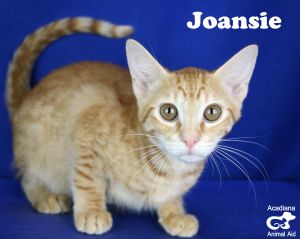 . Joansie .