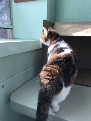 . Chloe .