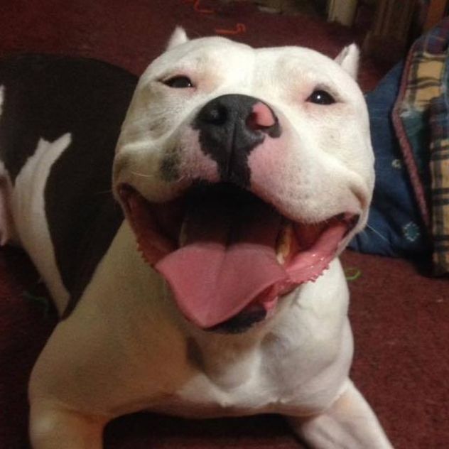Smiley