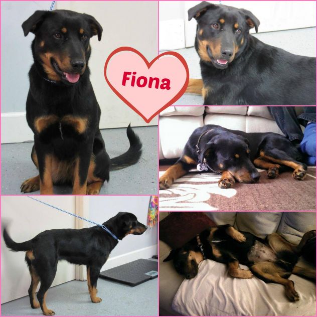 Fiona