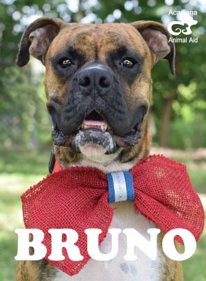 . Bruno .