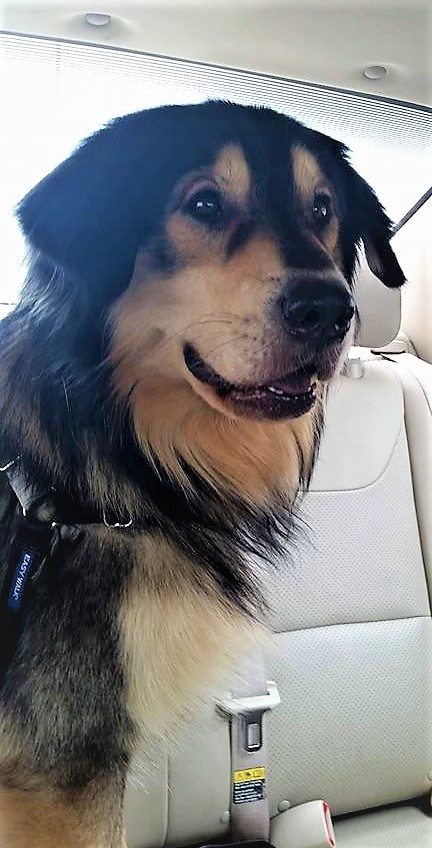 Thor - Courtesy Posting