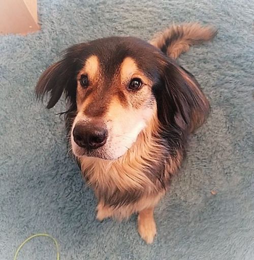 Thor - Courtesy Posting