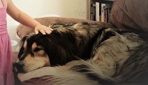 Thor - Courtesy Posting