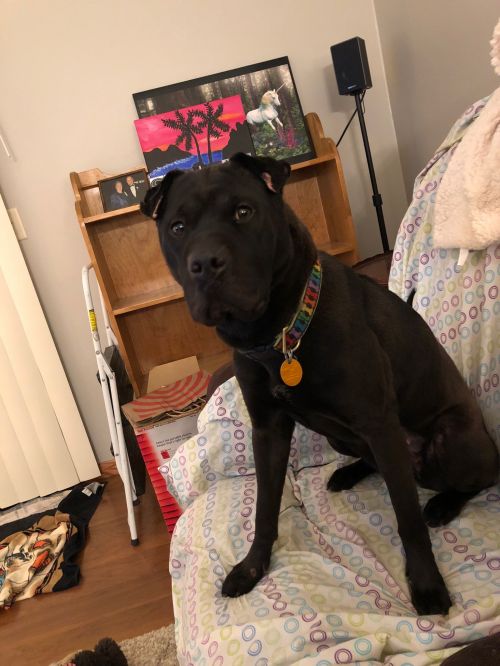 Ella