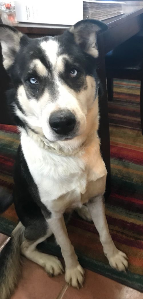 Zeus