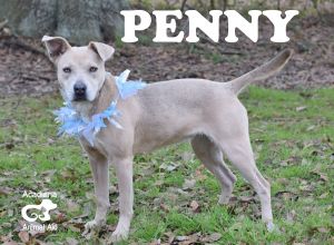 . Penny .