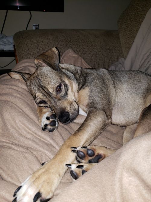 Holden - COURTESY POST