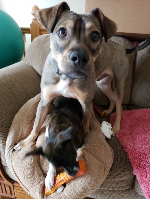 Holden - COURTESY POST