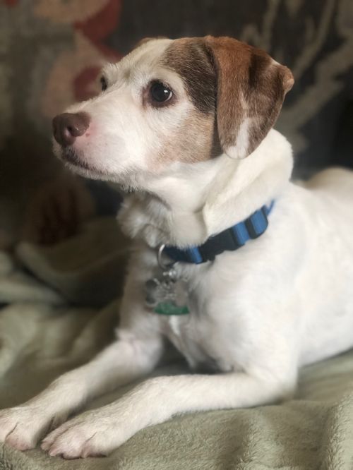 Lucy Lou