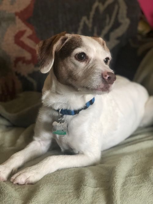 Lucy Lou