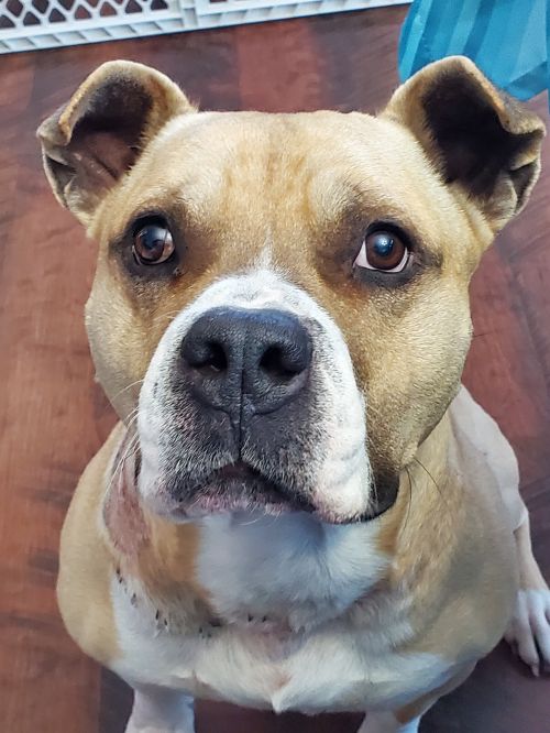 Axel