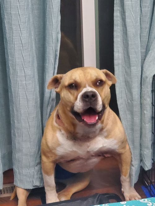 Axel