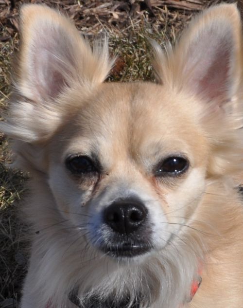 Ricky aka Rocky