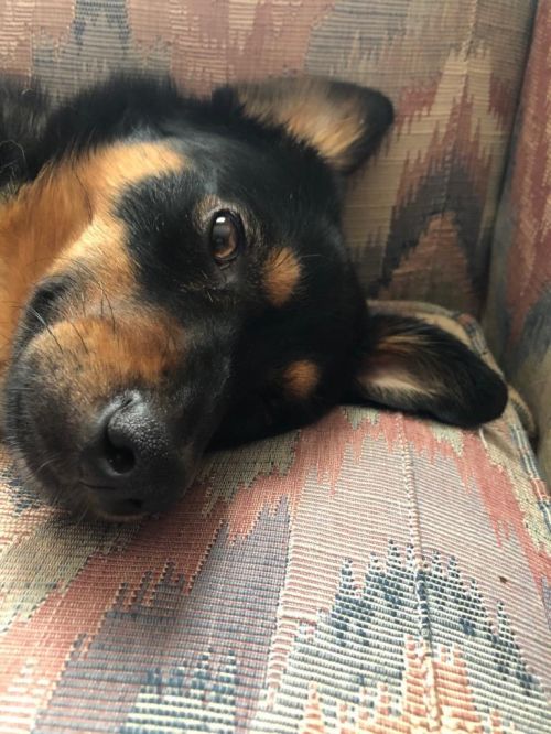 Rocky