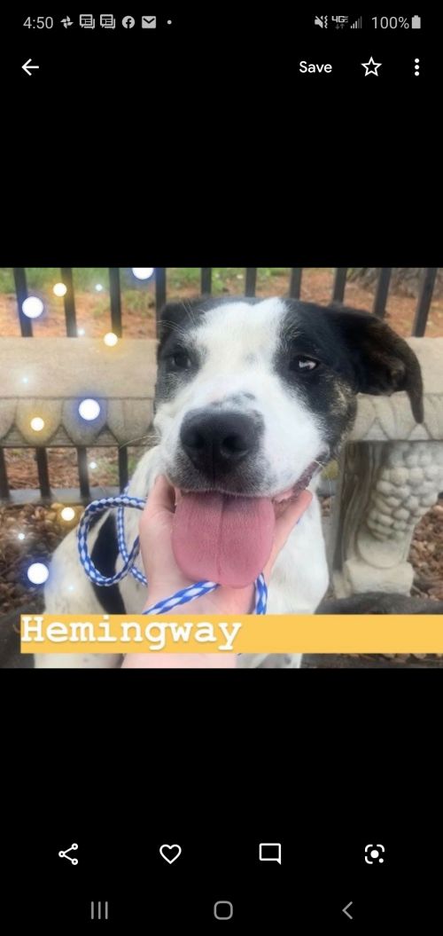 Hemingway