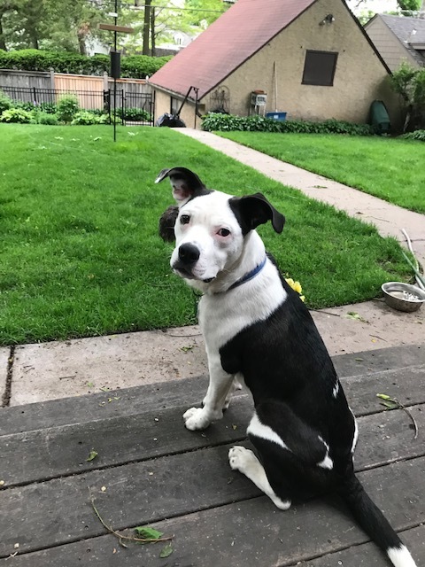Finley